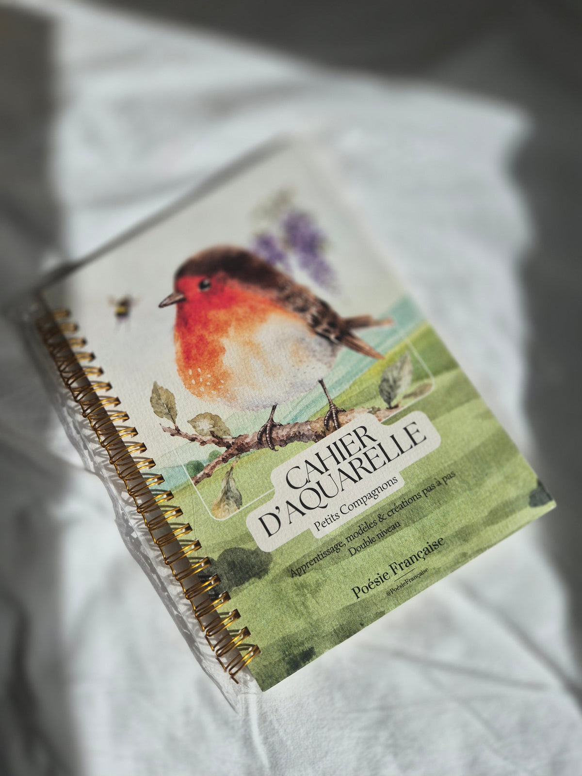 Le Cahier d’Aquarelle d'apprentissage - Petits Compagnons